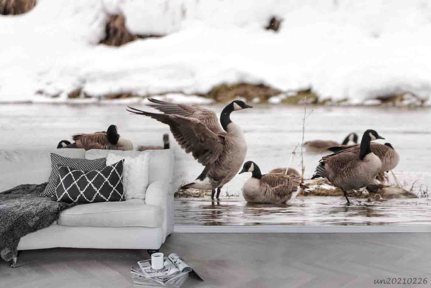 3D Animal Goose Winter Lake Wall Mural Wallpaper Lqh 8