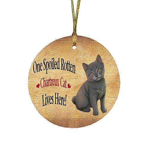 Chartreux Kitten Spoiled Rotten Cat Round Christmas Ornament