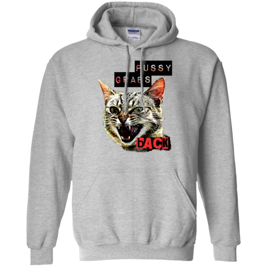 AGR Pussy Grabs Back Gildan Pullover Hoodie