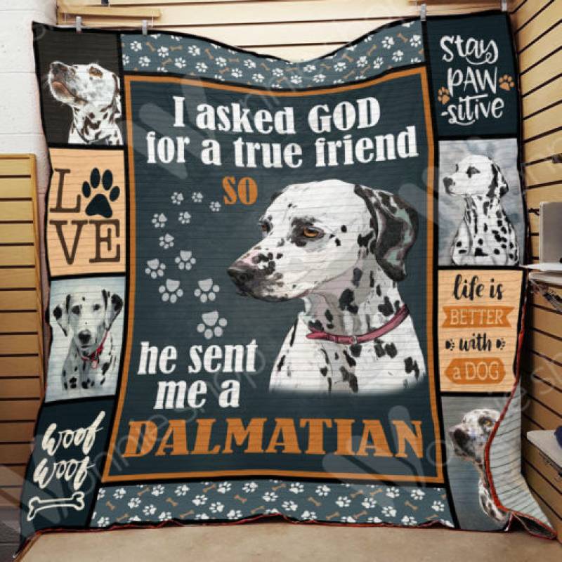 Dalmatian Dog Blanket NOV3004 67O43