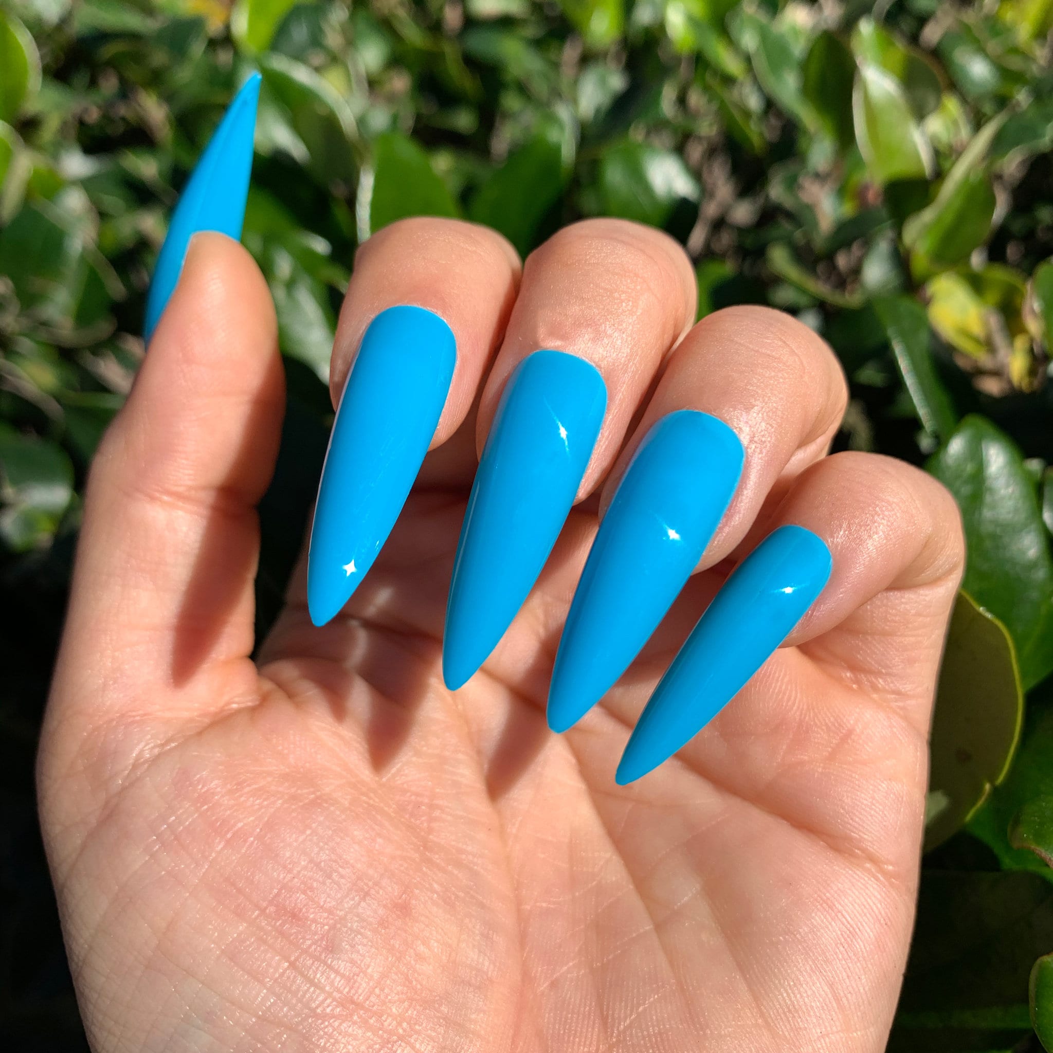 Peacock Blue Stiletto Press On Nails | 20 PCS Full Set | Salon Grade | Shiny Gloss or Matte | Not Your Basic Mani | Fast Shipping | Gift