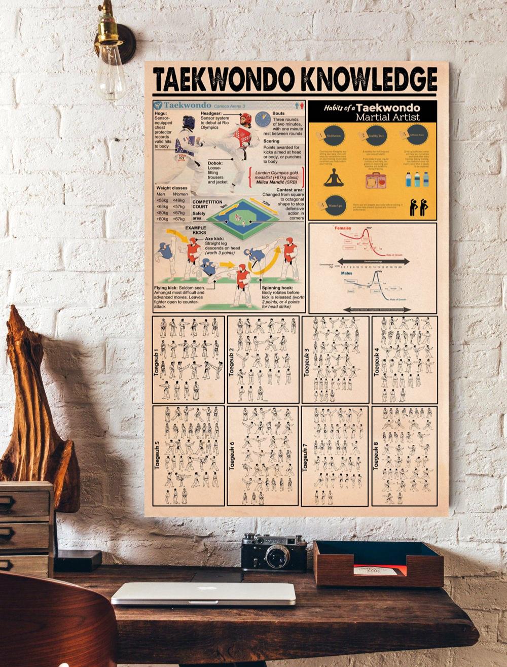 Takewondo Knowledge Poster