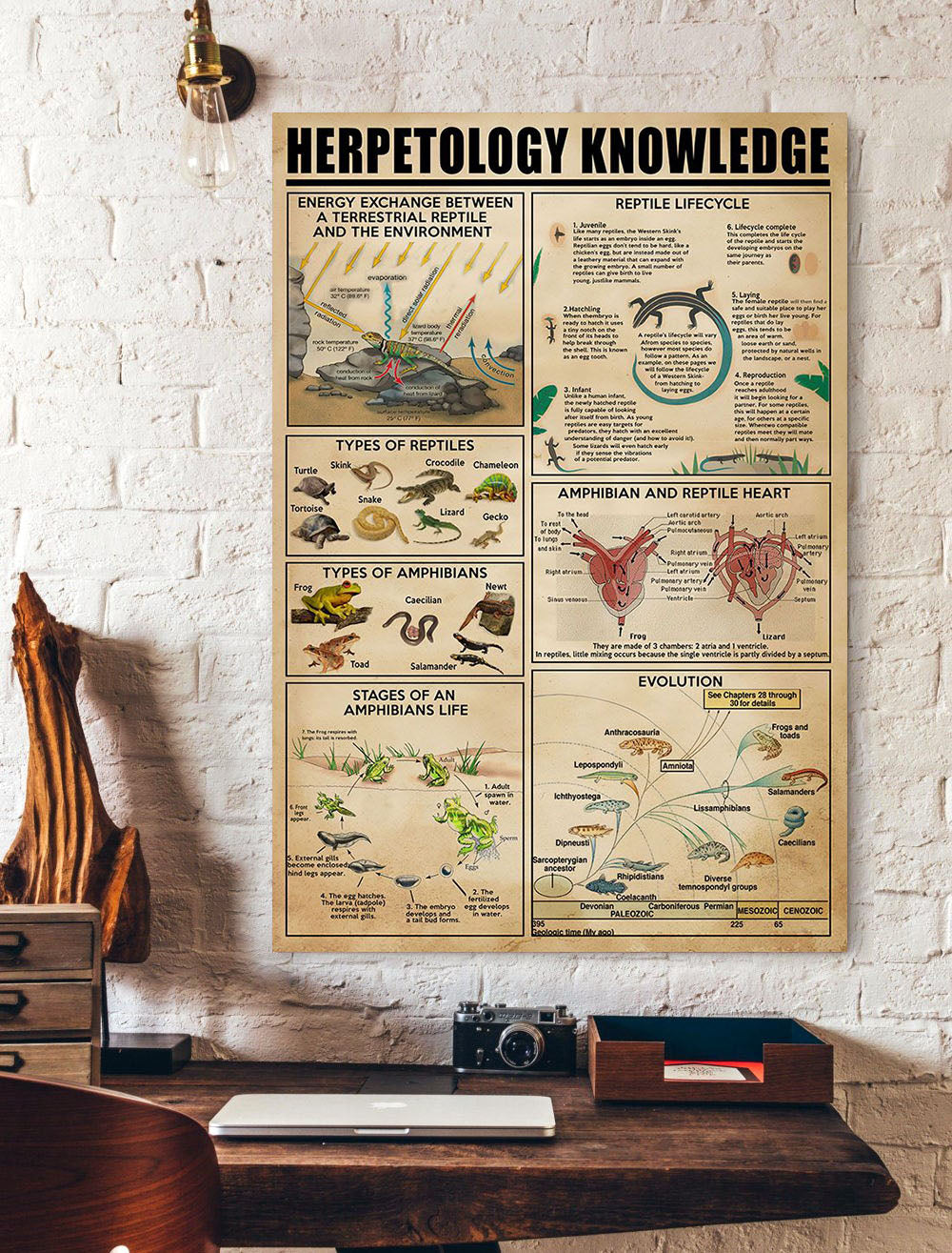 Herpetology Knowledge Poster