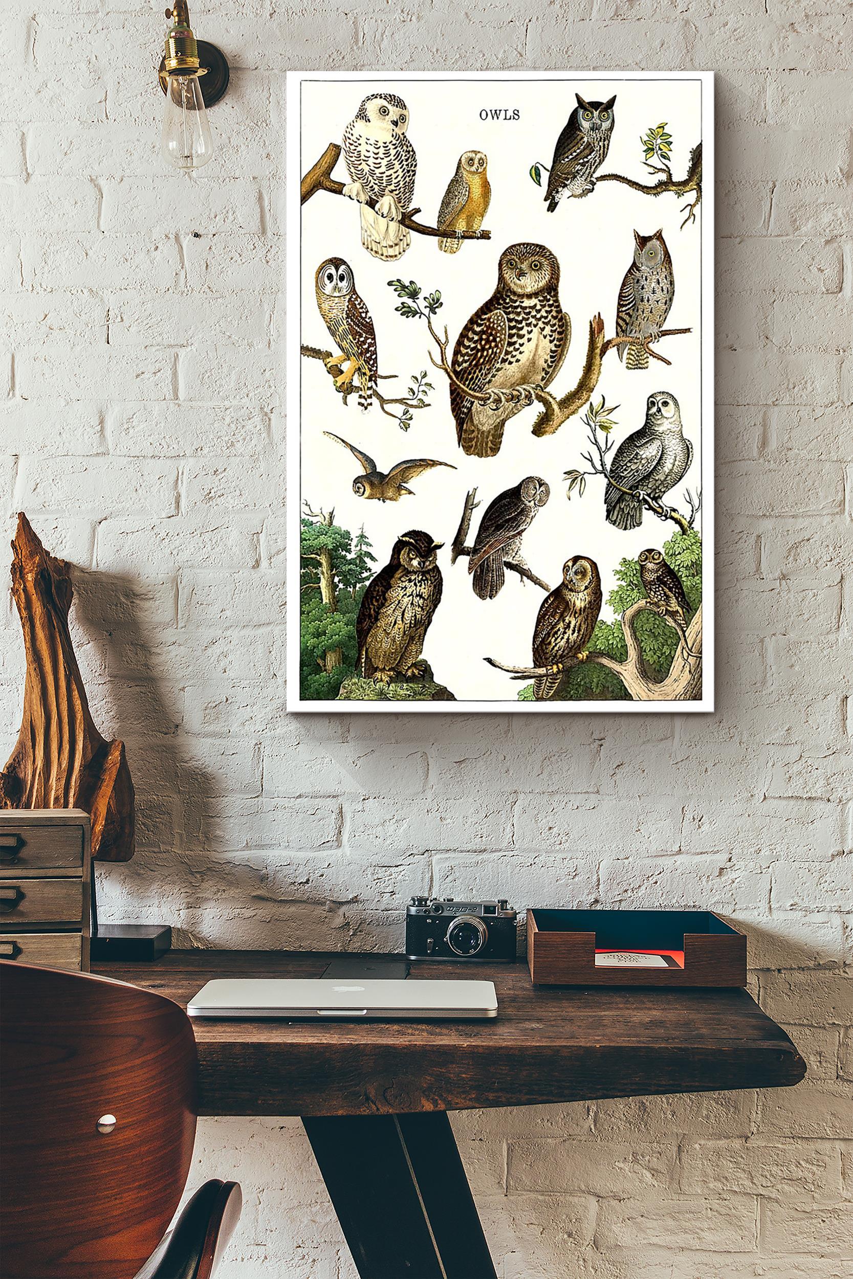 Types Of Owl In The World Poster – Animal Knowledge Wall Art Poster – Great Owl Painting Owl Print Gift For Animal Lover (Unframed) Poster