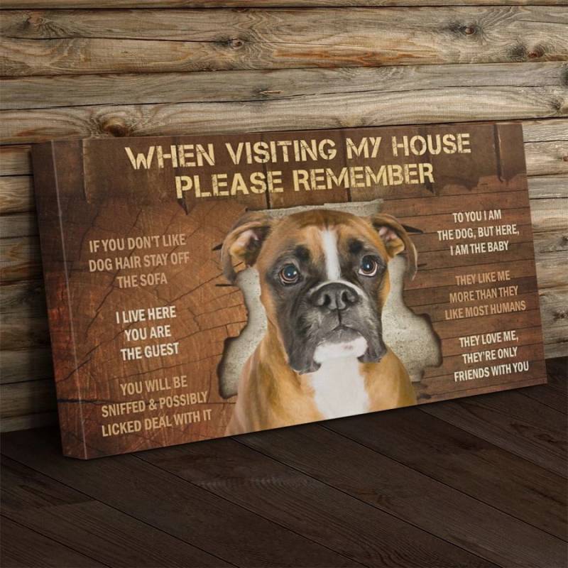 Boxer Visiting Poster Canvas 312320945