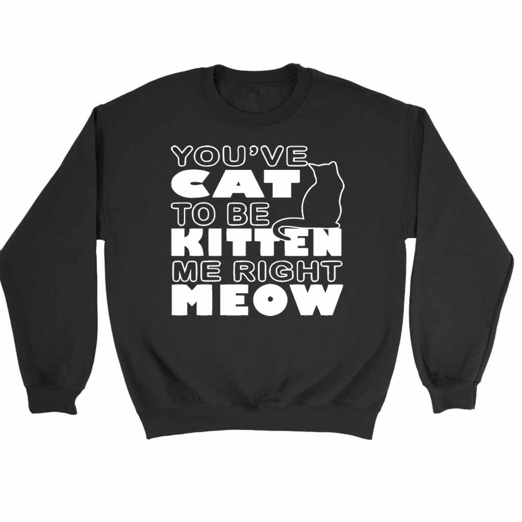 Are You Kitten Me Right Meow Sweatshirt Sweater