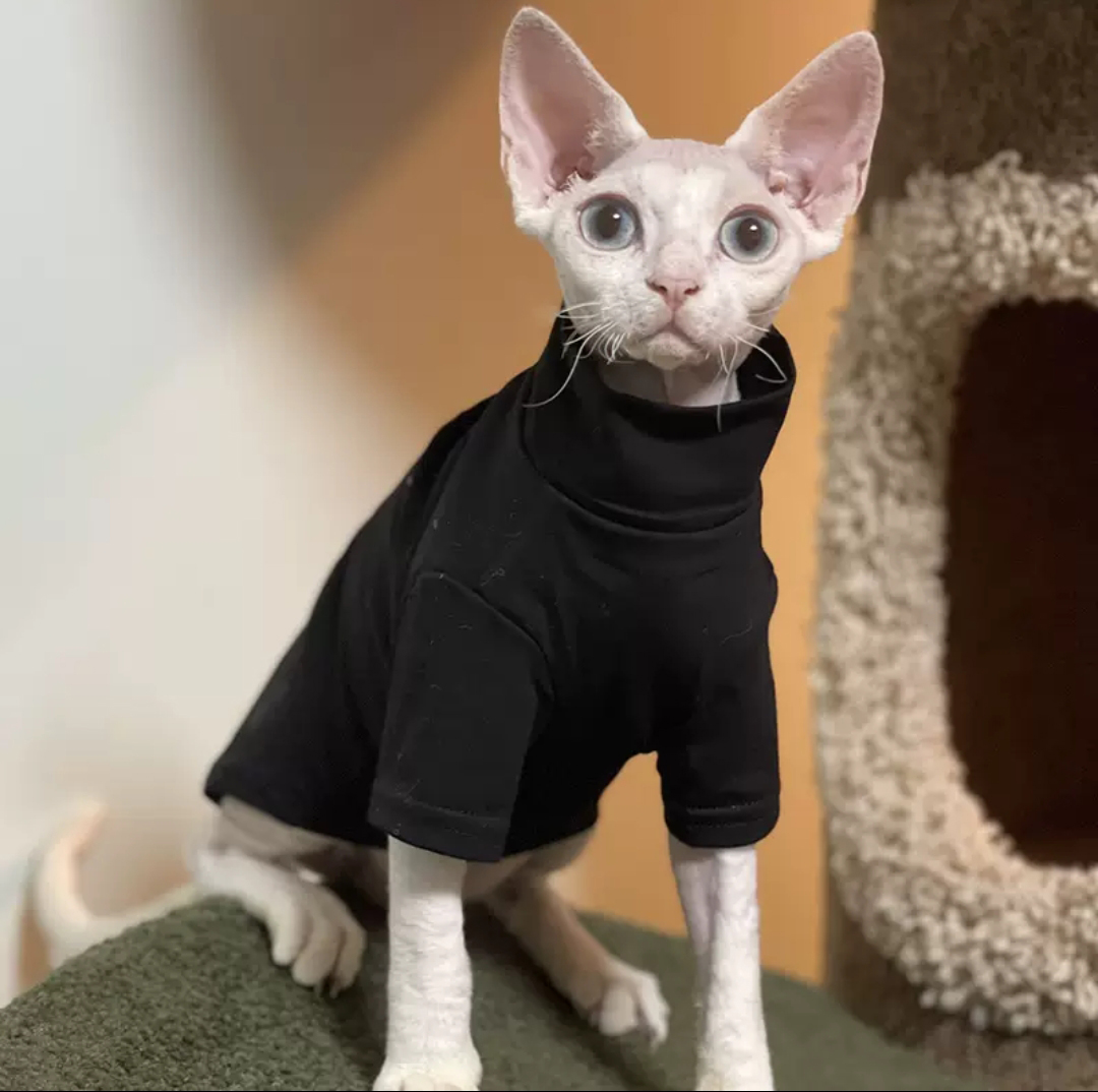 Sphynx Cat Clothes Thick Baby Soft Cotton Hairless Cat Clothes Kitten Clothes for Cornish,Devon, Peterbald, KnnisCat alx