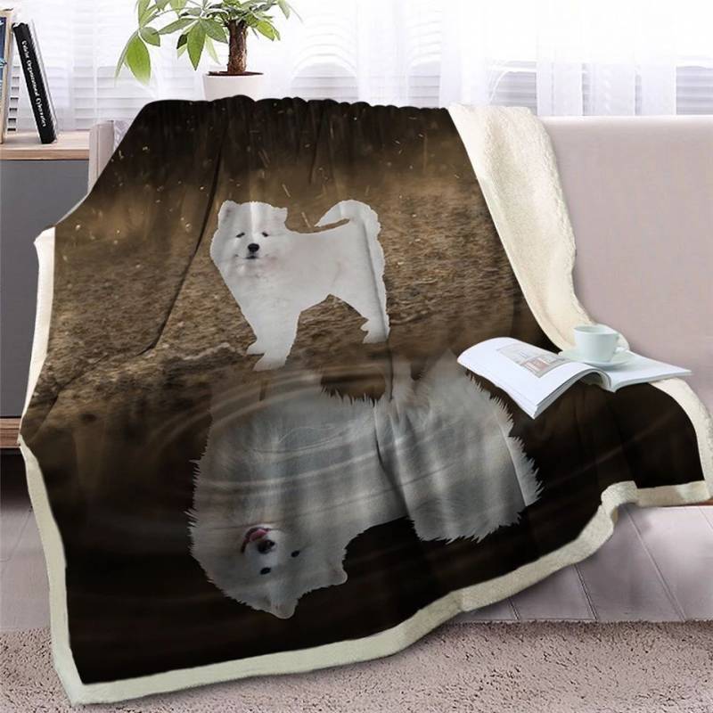 Puppy Samoyed Looking At Reflection CLH2511386F Sherpa Fleece Blanket