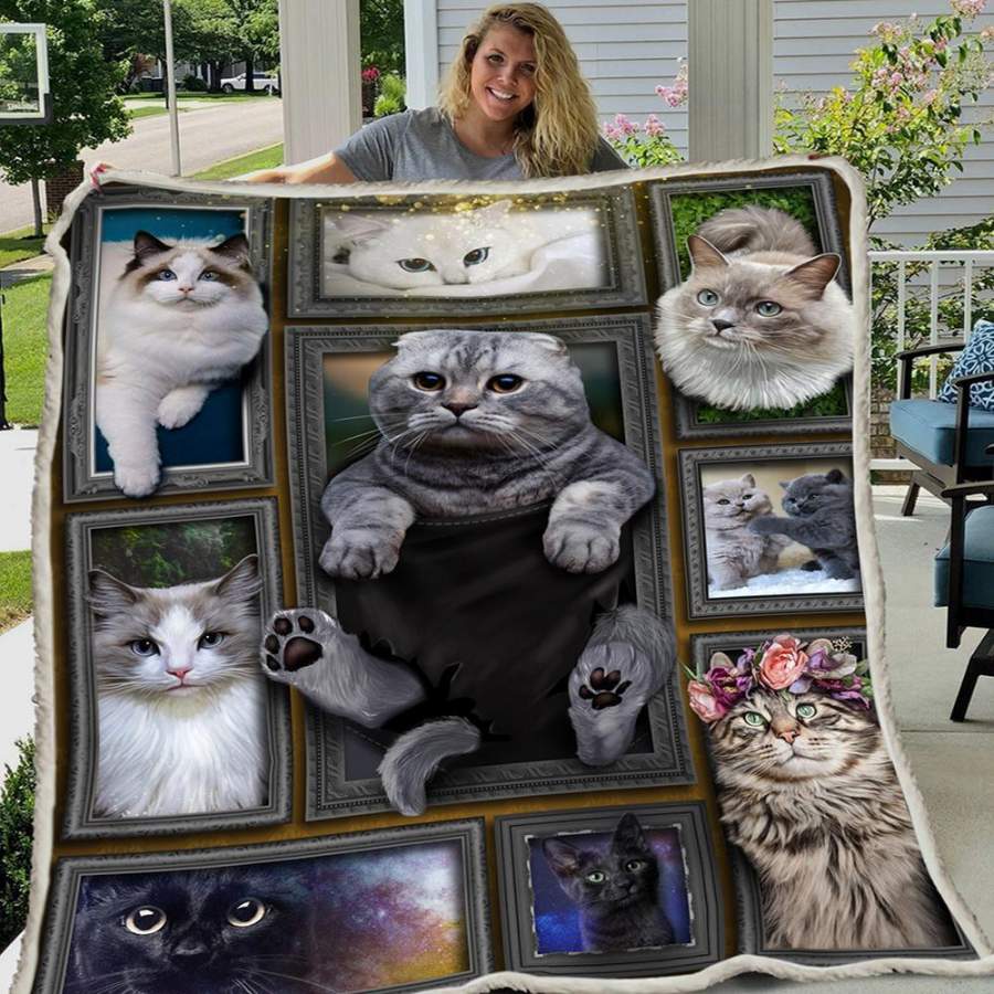 3D Huge Cat Custom Design Fleece Blanket Gift For Cat Lovers