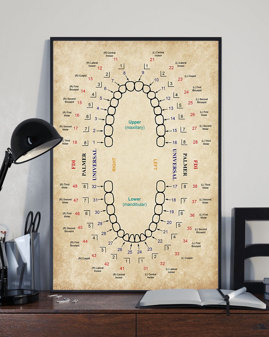 Professions Poster – Dentist Fdi Palmer Universal Vertical Canvas And Poster | Wall Decor Visual Art