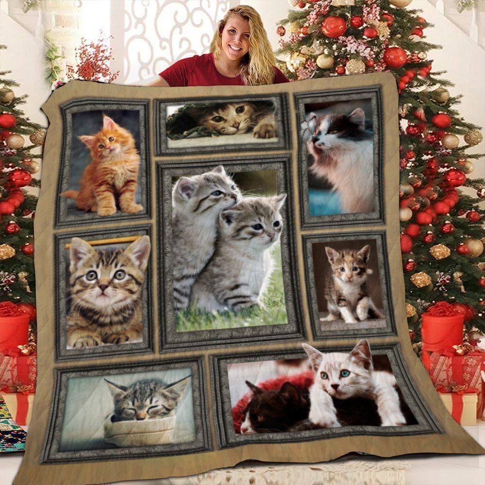 Cat Reality Love Cute Kitten Quilt Blanket