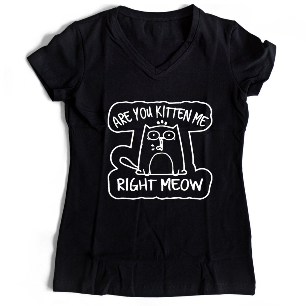 Are You Kitten Me Right Meow Vintage Range Women’s V-Neck Tee T-Shirt