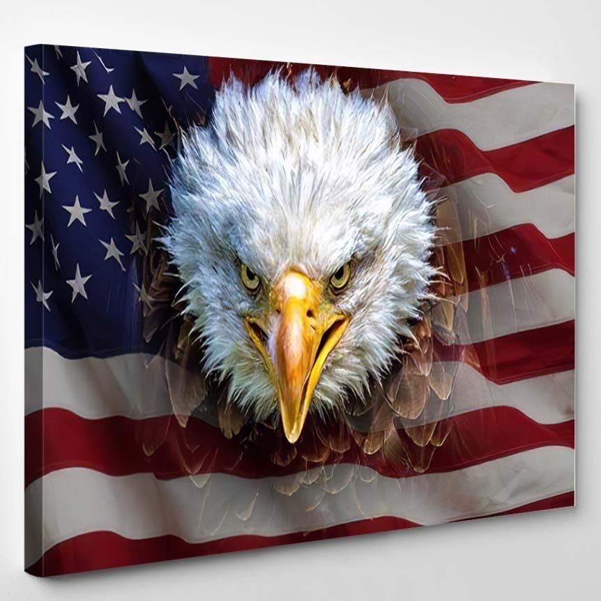 Angry North American Bald Eagle On 1 1 – Eagle Animals Canvas Print