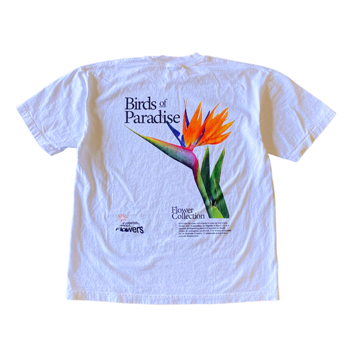 Birds of Paradise Tee Shirt Outfit