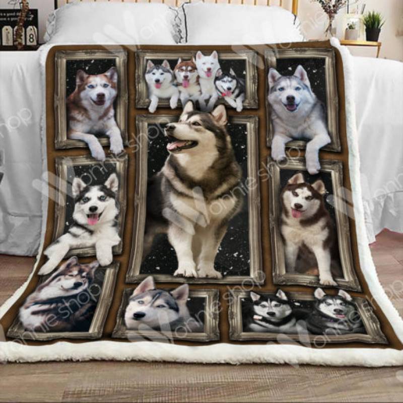 Siberian Husky Dog Sherpa Blanket NOV2902 81O60