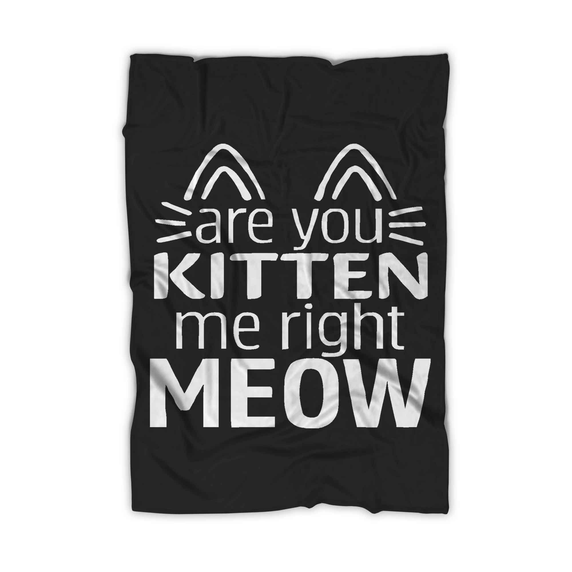 Are You Kitten Me Right Meow Mask Blanket