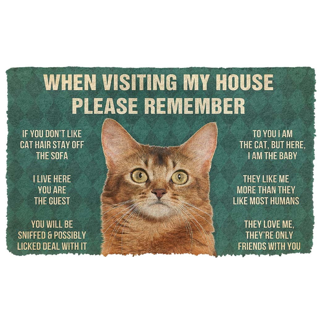 Gearhumans 3D Please Remember Somali Cat House Rules Custom Doormat