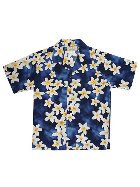 Plumeria Multicolor Nice Design Hawaii Shirt Ha62472