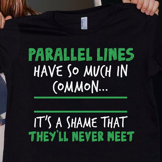 Parallel Lines Have So Much In Common It Is A Shame That They Will Never Meet Gift Standard/Premium T-Shirt