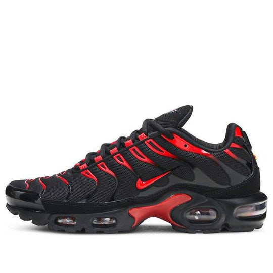 Nike Air Max Plus Bred 602109