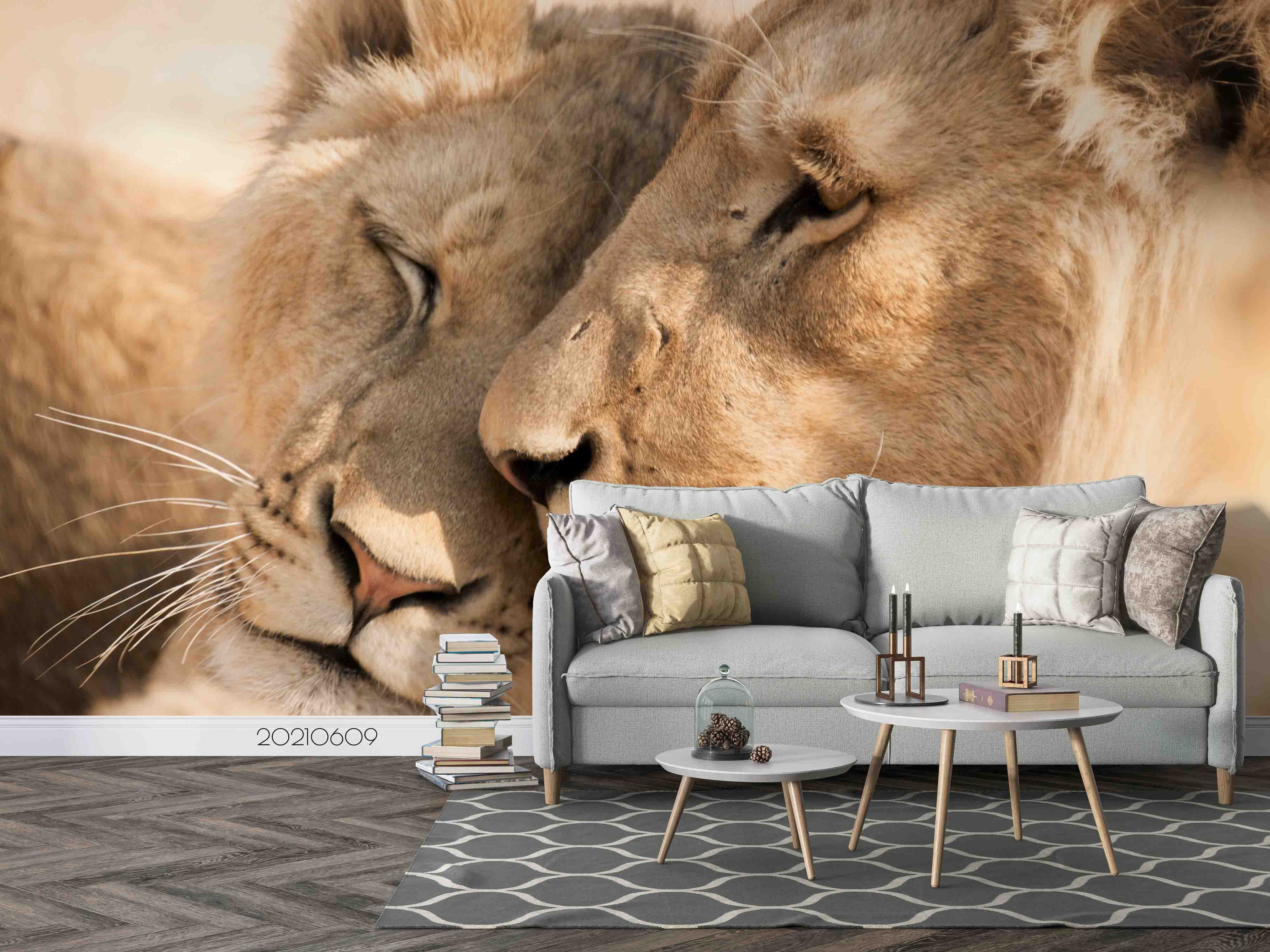 3D Africa Animal Lion Couple Wall Mural Wallpaper Sww1646