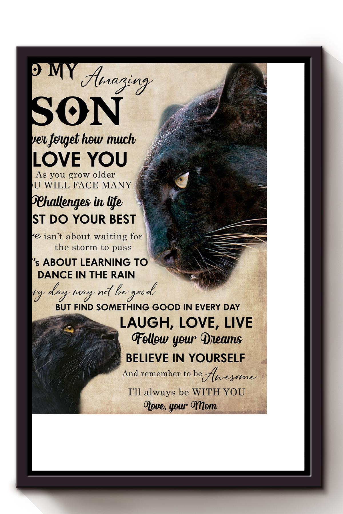 To My Son Quotes Animal Wall Art Gift For Cat Lover Cat Foster Sons Birthday Framed Canvas