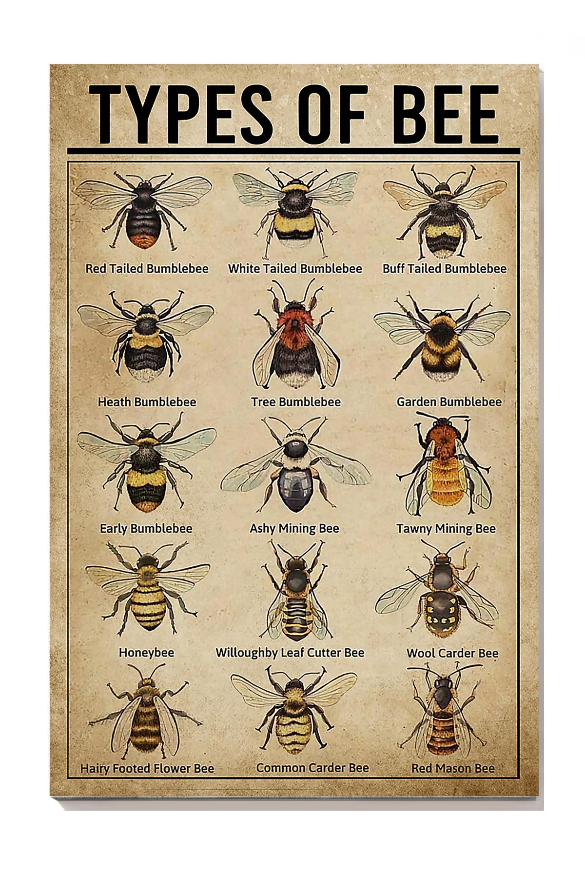 Tyoe Of Bee Animal Wall Art Gift For Bee Lovers Scientists Wrapped Canvas