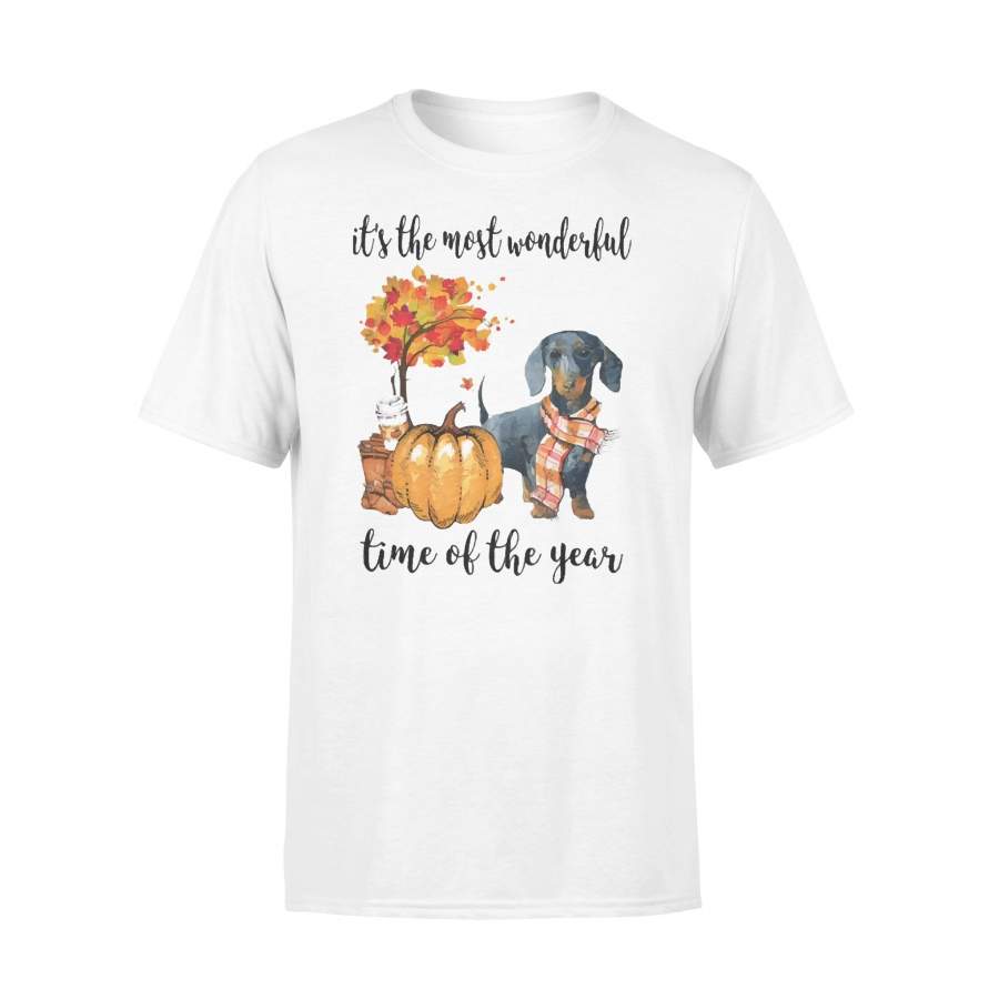 Fall Pumpkin It’s The Most Wonderful Time Of The Year Dachshund T-Shirt