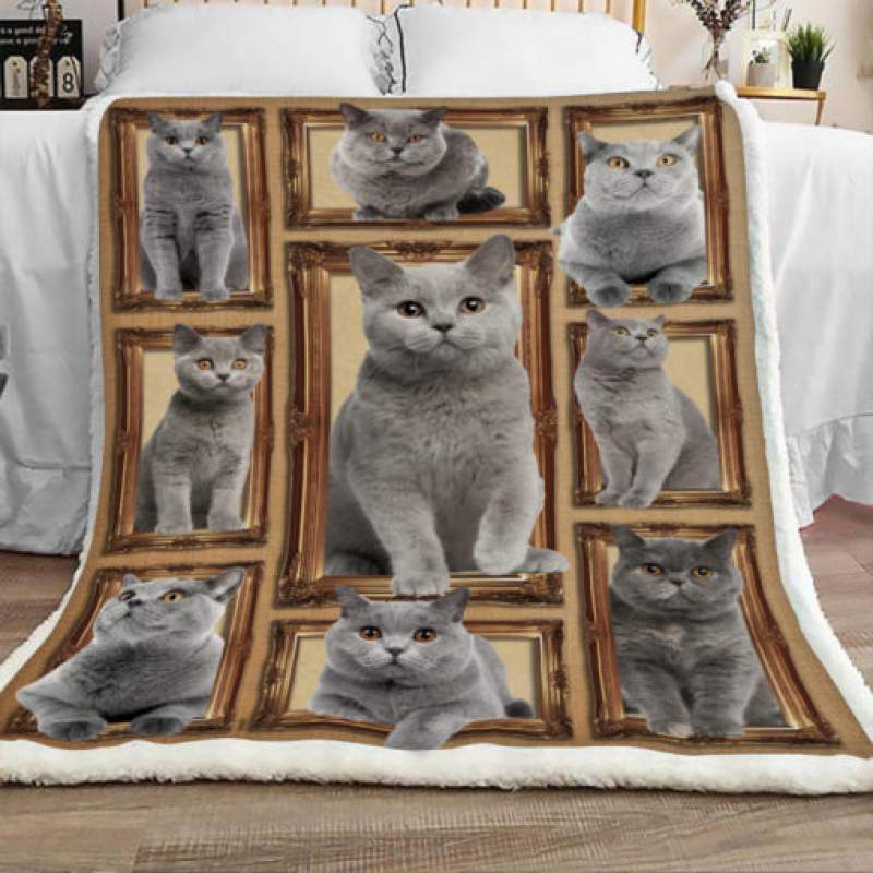 British Shorthair Cat Sherpa Blanket JR3101 81O31