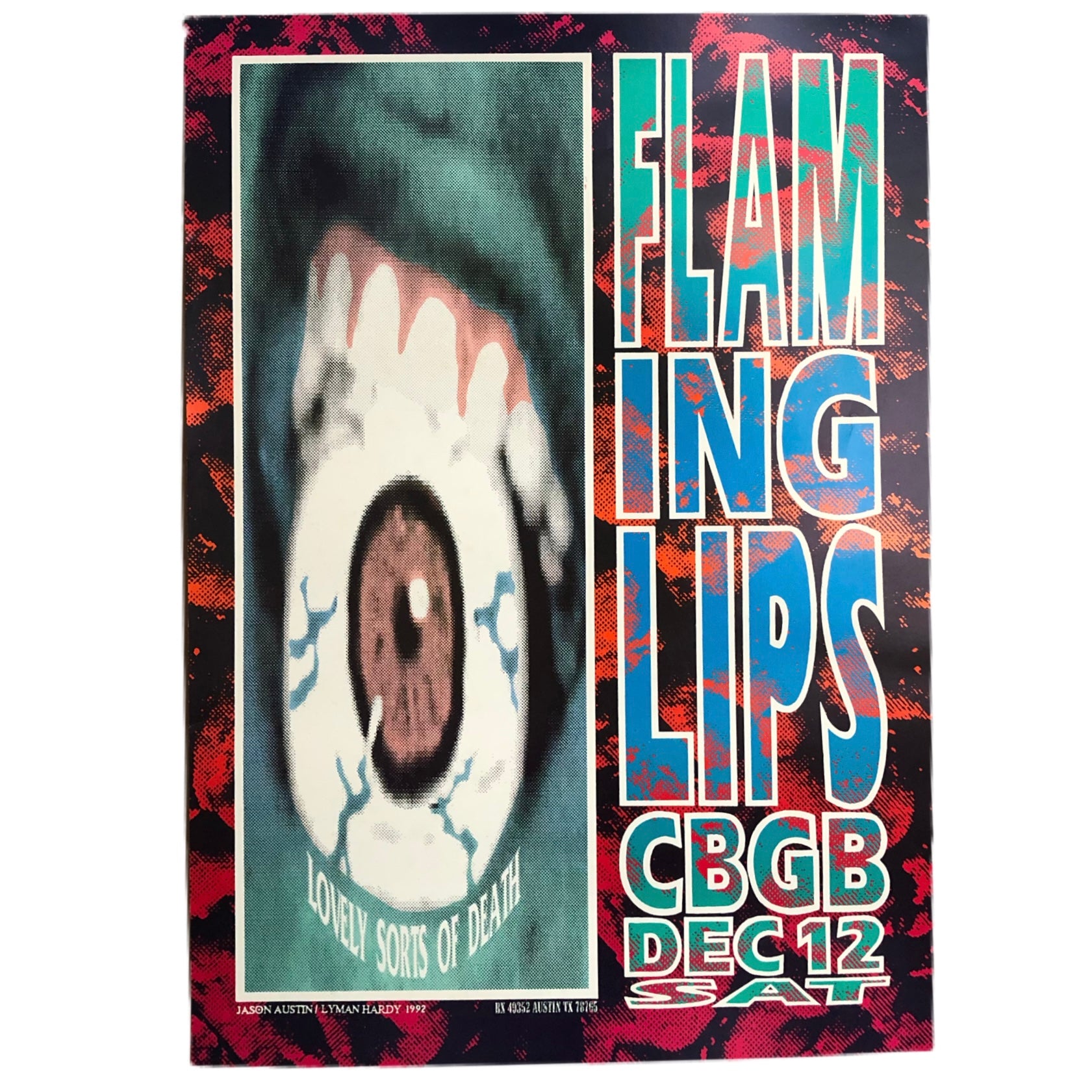 Vintage The Flaming Lips “CBGB” Show Poster