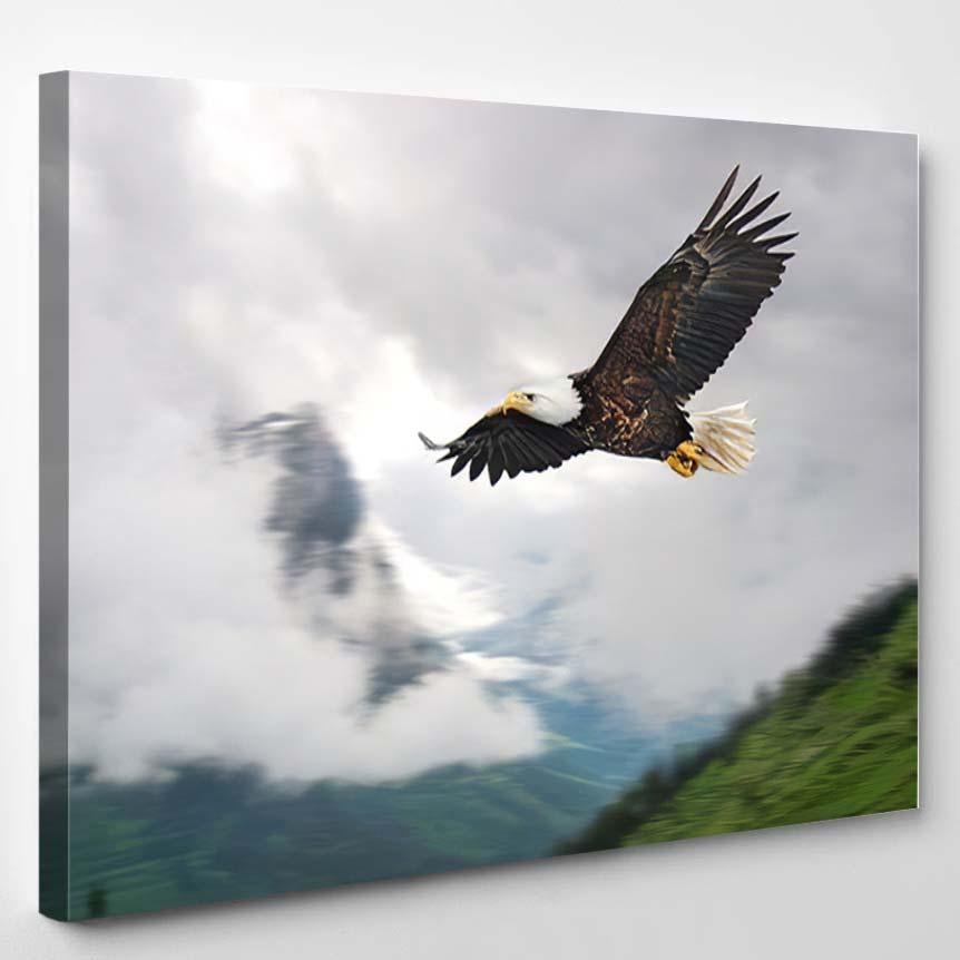 American Bald Eagle Flight Illustrated Over 1 – Eagle Animals Canvas Print