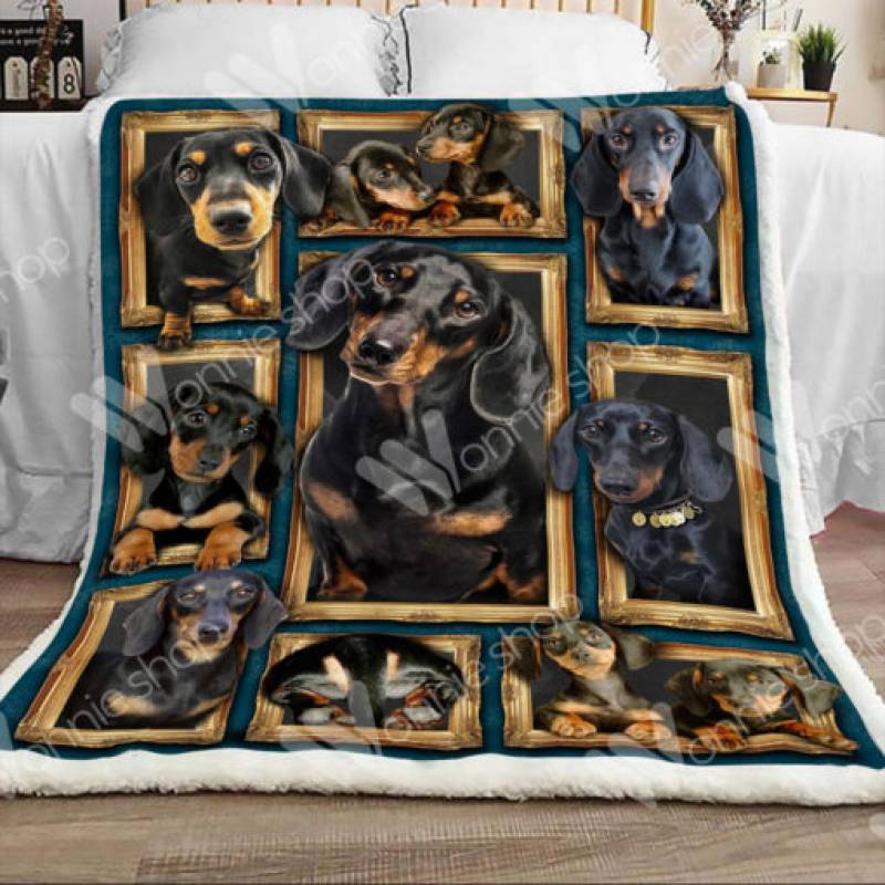 Dachshund Dog Sherpa Blanket NOV2801 81O60