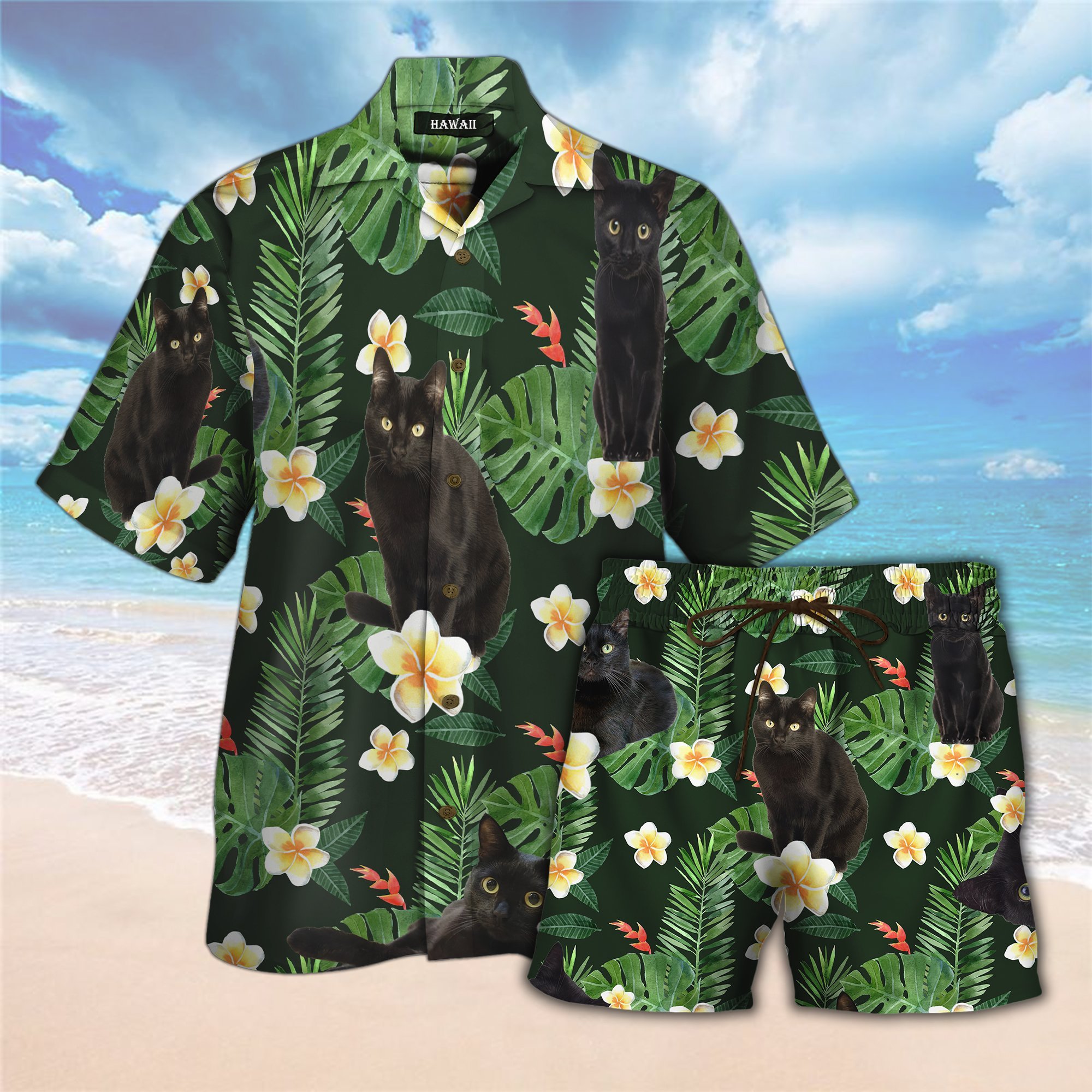 Black Cat All Over Printed Hawaii Shirt And Short Ha69408