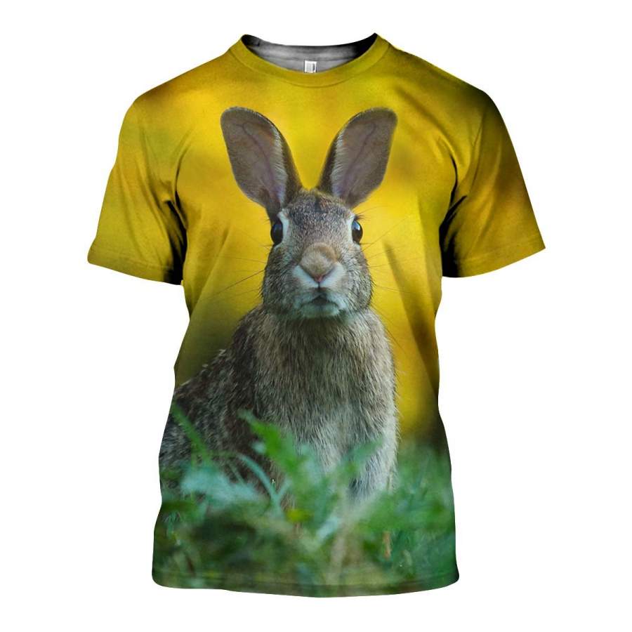 3D All Over Printed Rabbit Shirts and Shorts