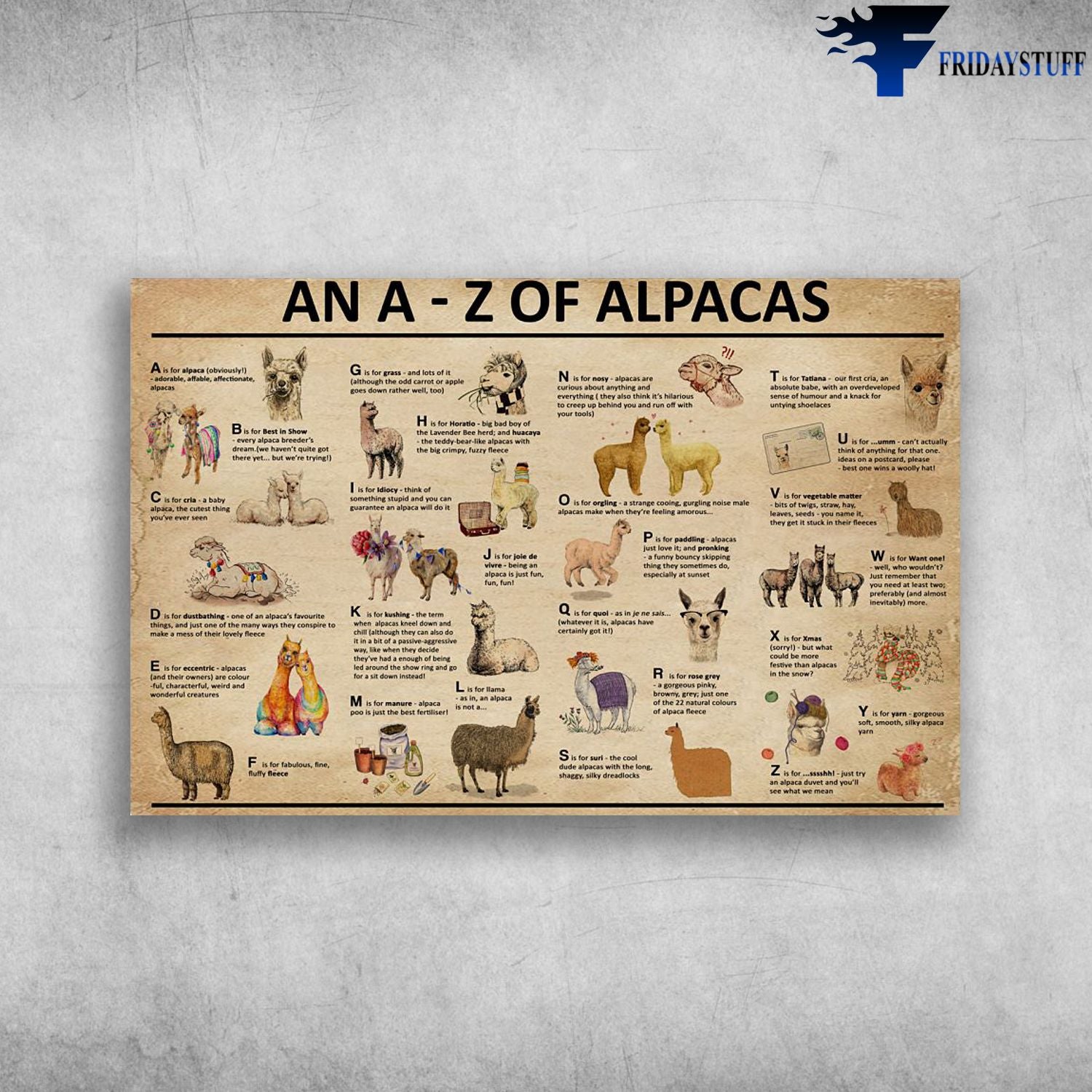 An A To Z Of Alpacas Sheep Camel Animal Canvas Christmas Gift Ideas