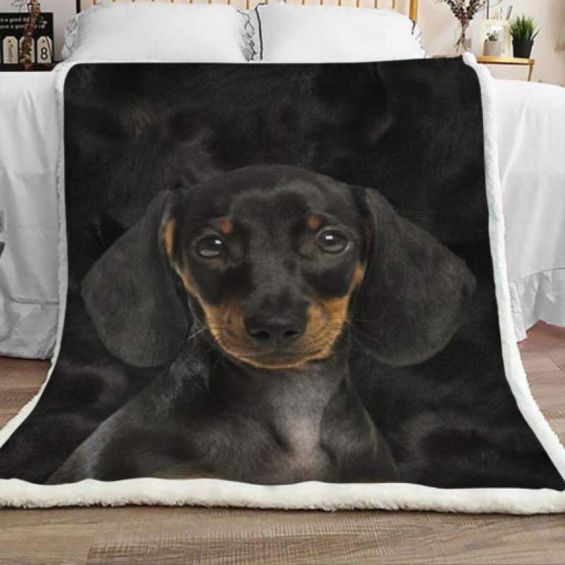 Dachshund Dog Sherpa Blanket JR1602 69O57