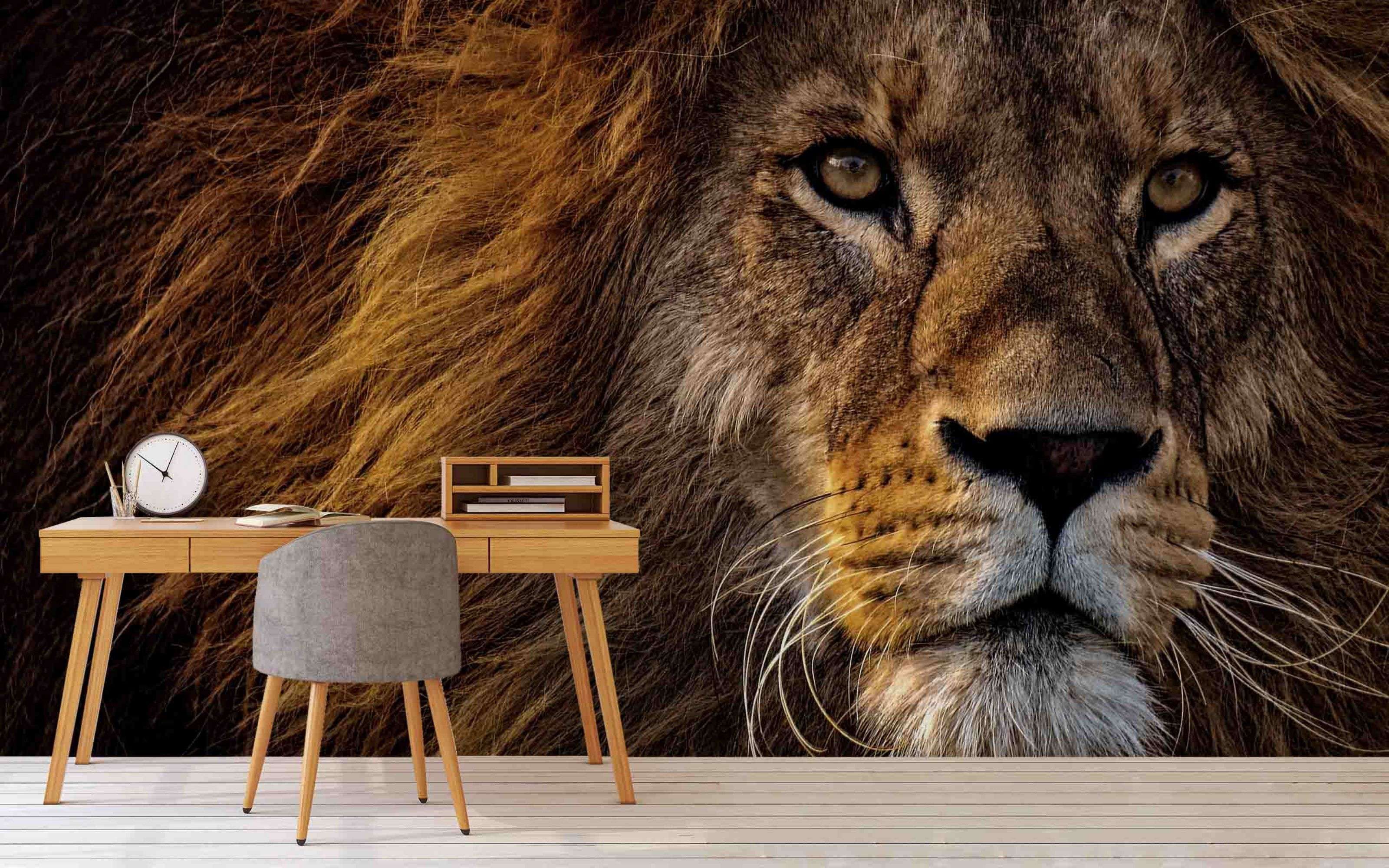 3D Golden Lion Head Retro Wall Mural Wallpaper Gd 1862