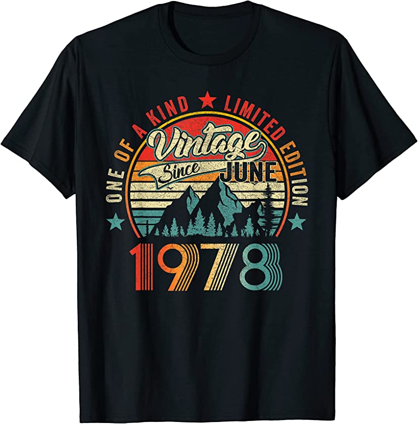 43 Birthday Apparel Vintage June 1978 43 Year Old T-Shirt