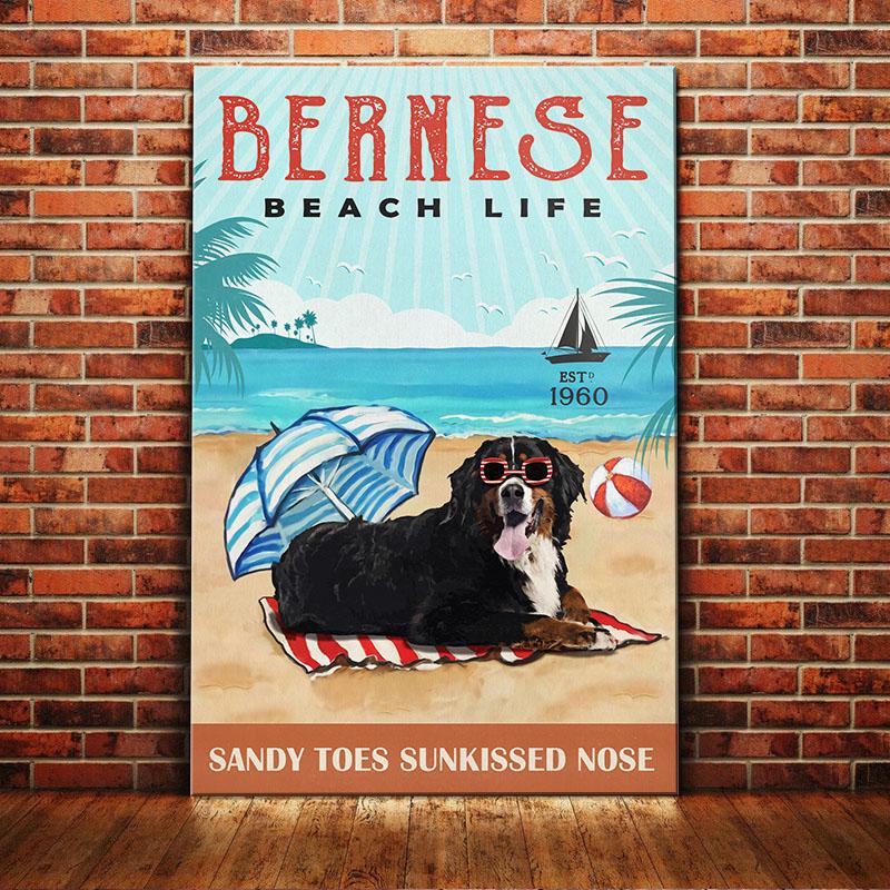 Bernese Mountain Dog Canvas And Poster Beach Life Sandy Toes Sunkissed Nose | Art Print | Home Decor | Room Decor | Wall Art