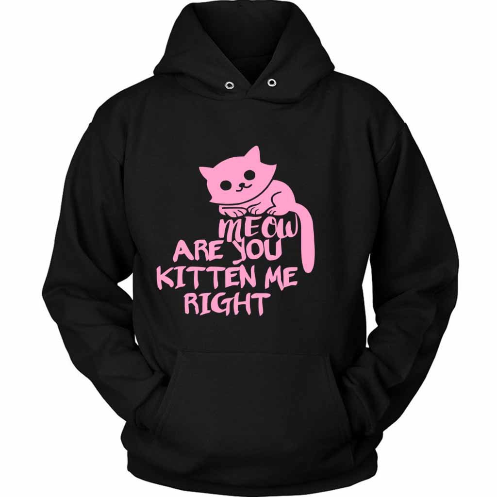 Are You Kitten Me Right Meow Four Unisex Hoodie