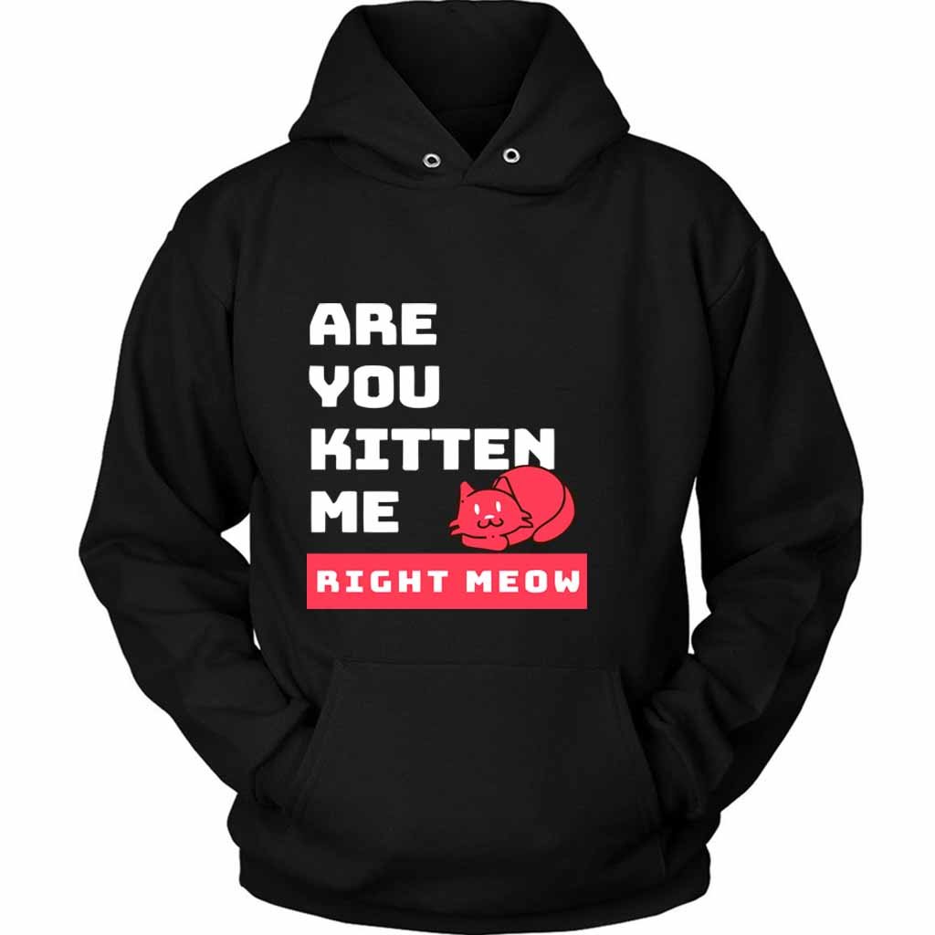 Are You Kitten Me Right Meow Two Unisex Hoodie