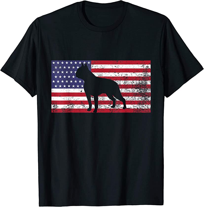 Boston Terrier Dog american flag 4th July Vintage 70s gift T-Shirt