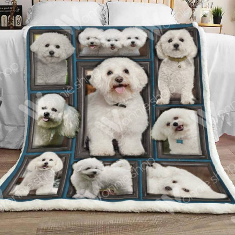 Bichon Frise Dog Sherpa Blanket JR0901 81O59