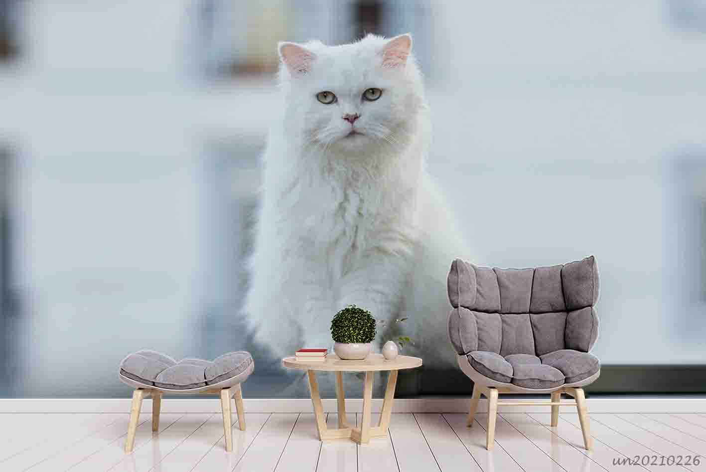 3D Cute White Cat Animal Wall Mural Wallpaper Lqh 35