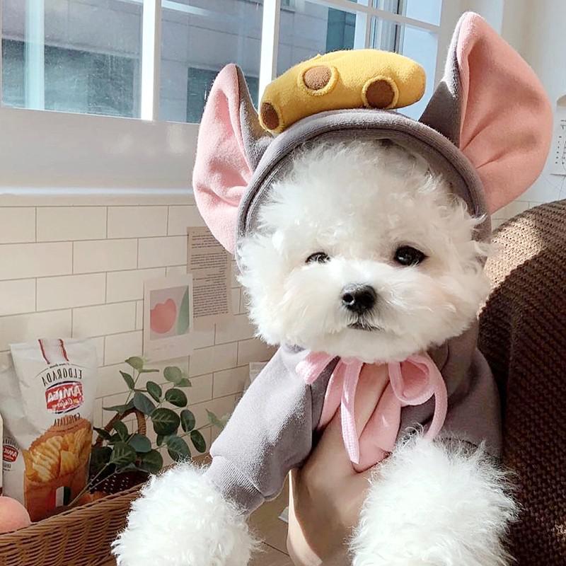 Winter Pet Dog Clothes Cute Cheese Dogs Hoodies For Puppy Small Medium Dogs Sweatshirt Coats Big Ear Chihuahua Teddy Costume alx