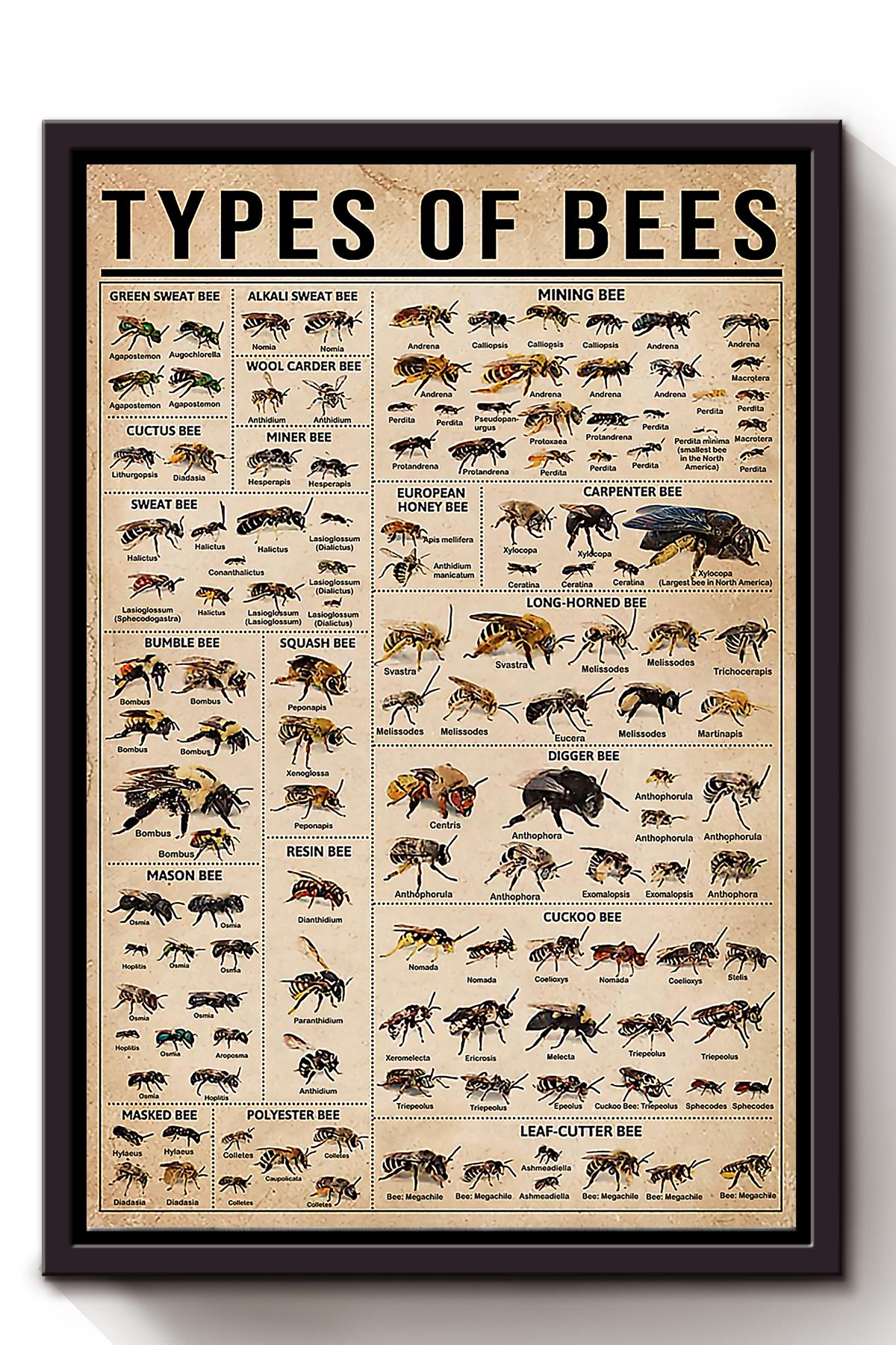 Types Of Bees Animal Wall Art Gift For Bee Lovers Scientists Framed Matte Canvas