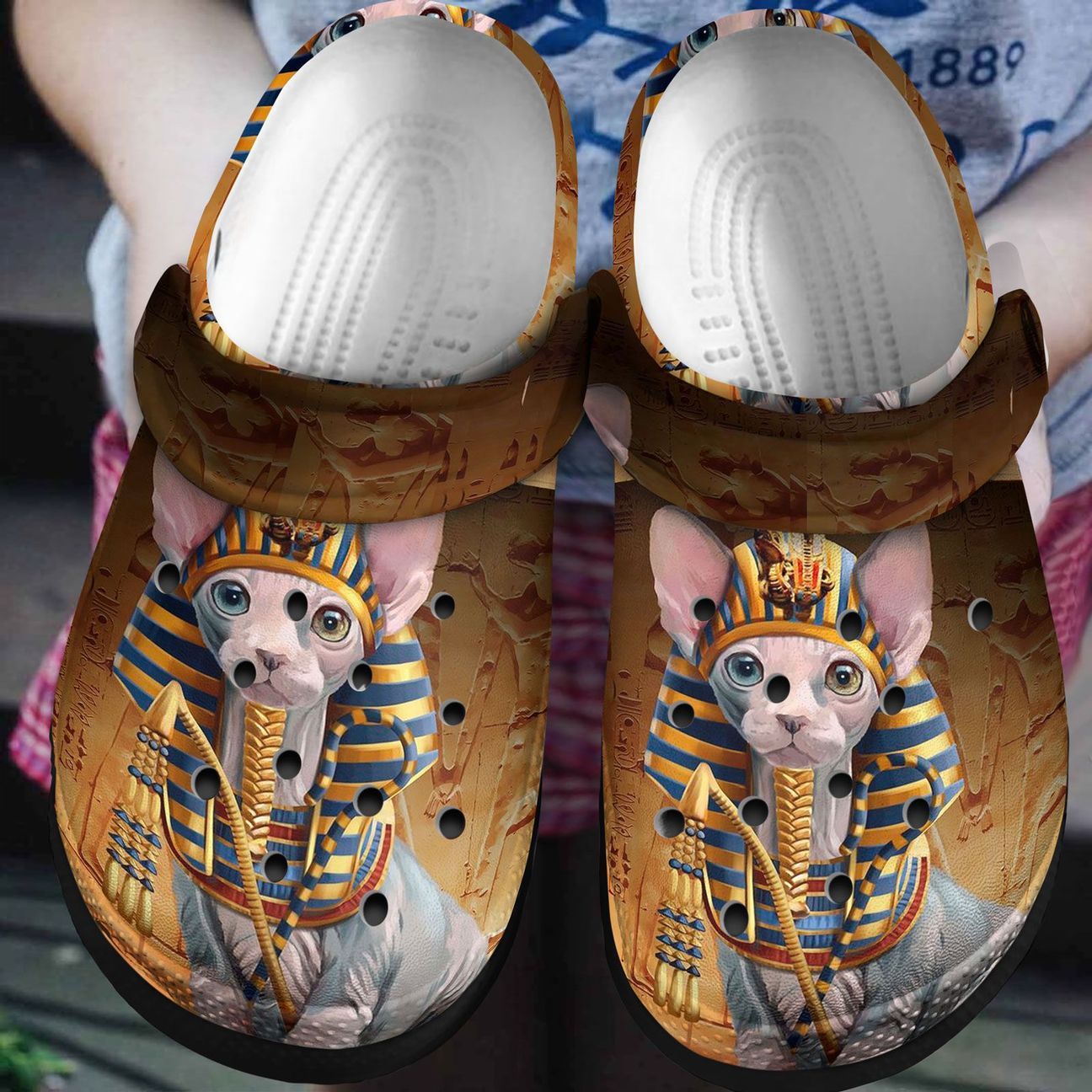 Cat Personalized Clog, Custom Name, Text, Color, Number Fashion Style For Women, Men, Kid, Print 3D Sphynx Cat Napoleon