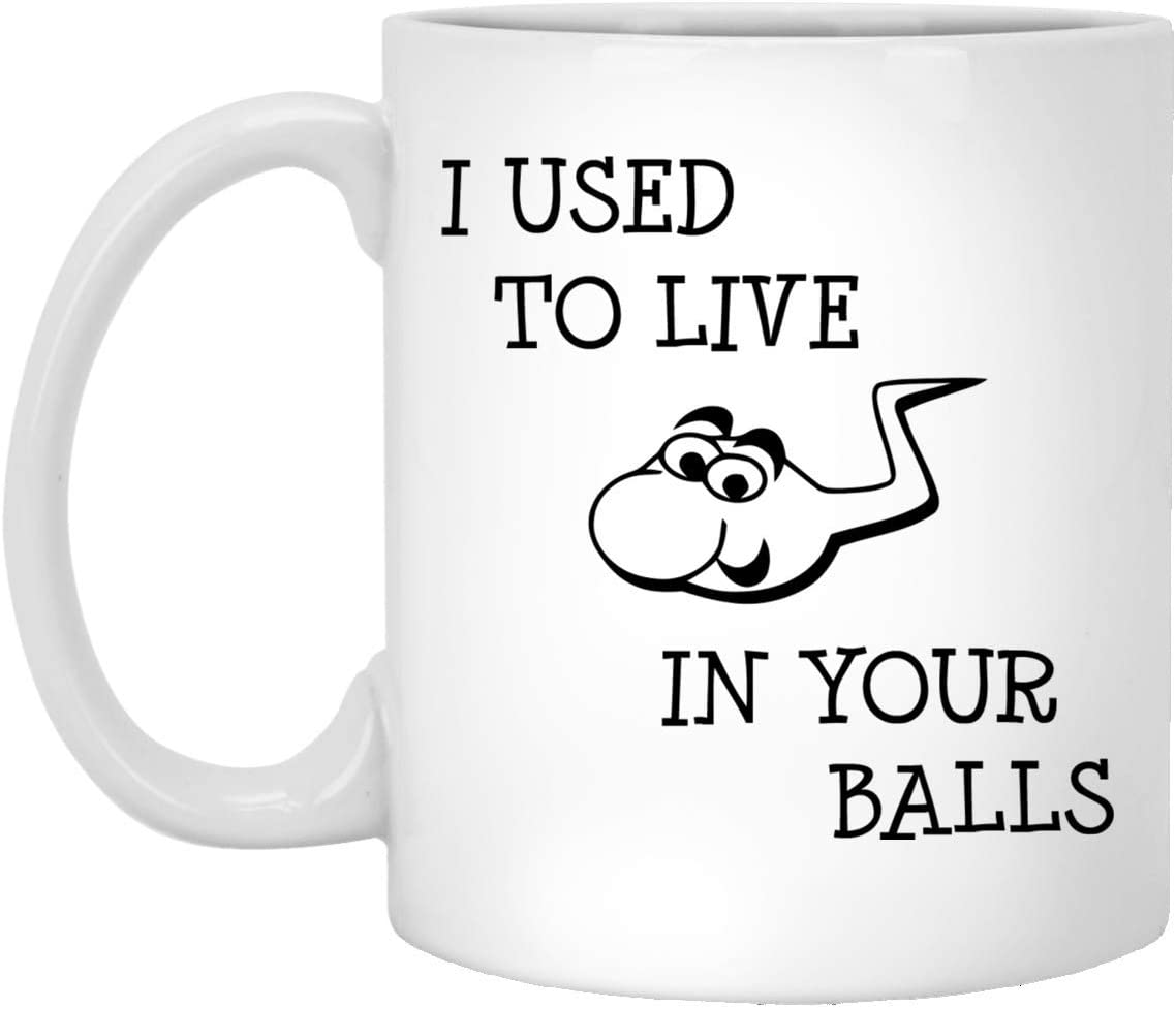 Funny Fathers Day Mug – I Used To Live In Your Balls – Father’S Day Birthday Dad Hilarious Gift For Dad Coffee Mug 15Oz