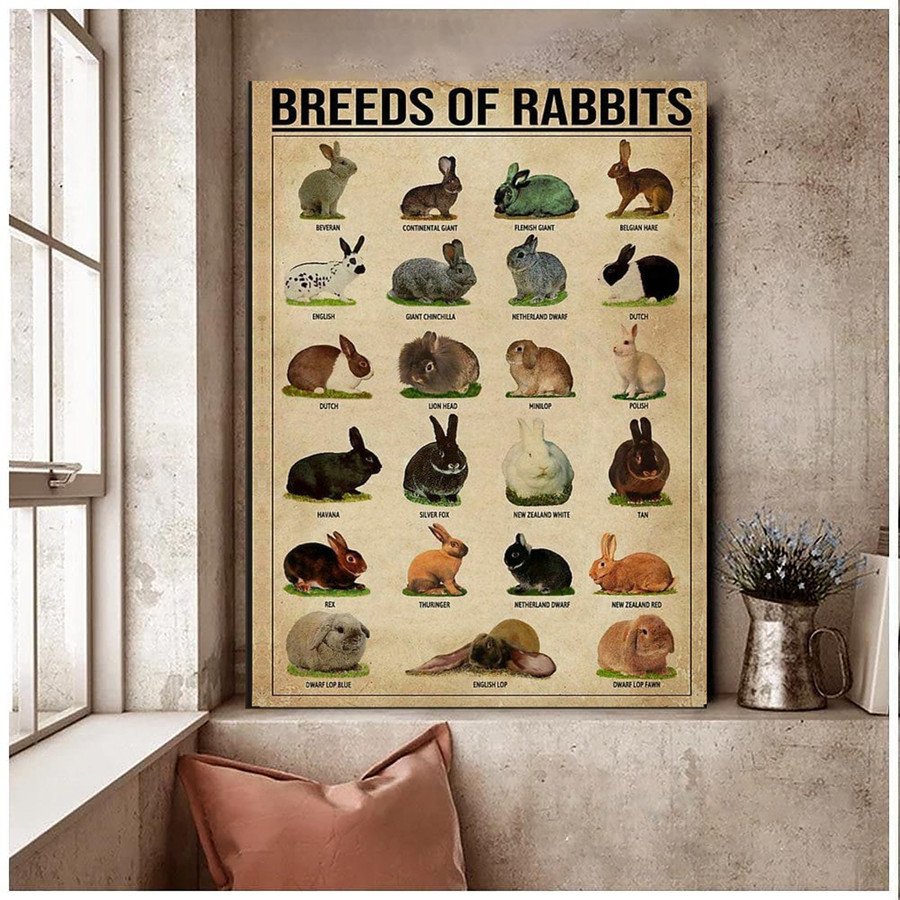 Breeds Of Rabbits Wall Art Canvas Prints, Bunny Knowledge Canvas Prints For Rabbit Lovers  – Posters Canvas Prints Wall Art