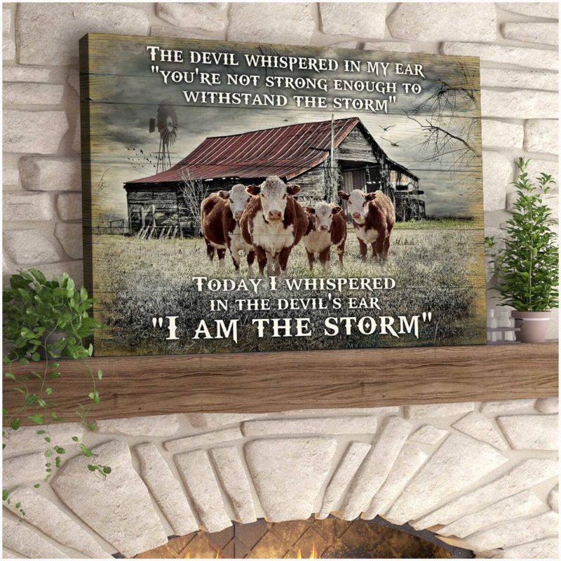 I Am The Storm Hereford Cows Poster Canvas 5232203030